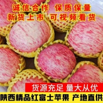 陕西大荔膜袋，纸夹膜，纸袋苹果，质量优，产地直供货源