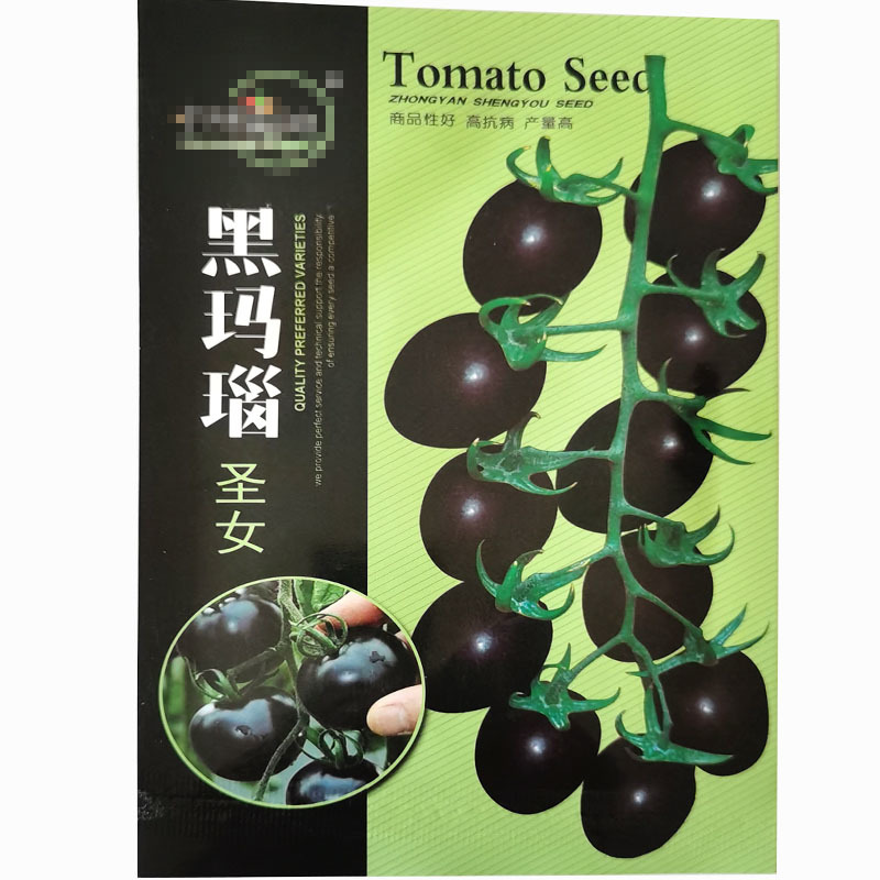黑玛瑙番茄种子圣女果果硬无限生长早熟