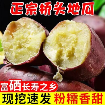 正宗海南桥头富硒地瓜板栗番薯新鲜沙地粉糯香一件批发价包邮