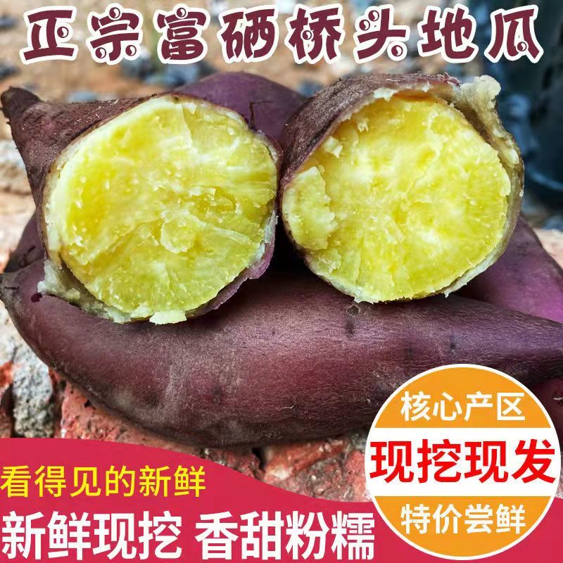 正宗海南桥头富硒地瓜板栗番薯新鲜沙地粉糯香一件批发价包邮