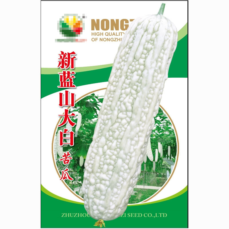 苦瓜种子长白苦瓜种子薄皮苦瓜种子高产抗病强基地种植