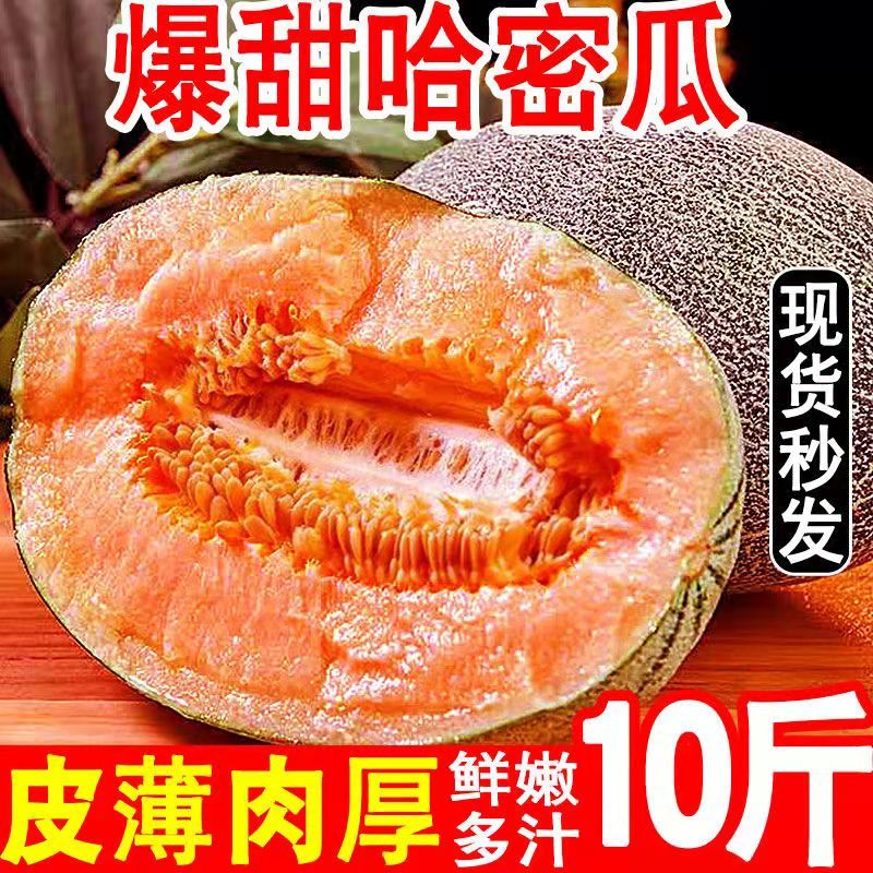 海南哈密瓜晓密25水果玫珑瓜西州蜜瓜网纹瓜一件代发批发价