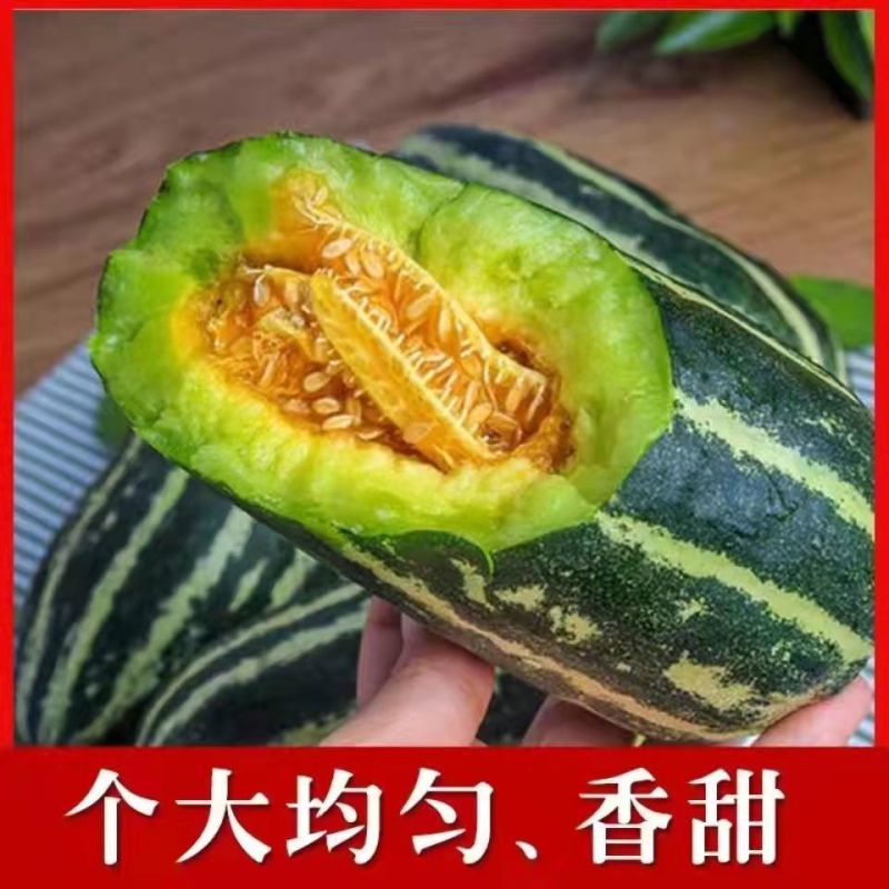 山东博洋九甜瓜皮薄味甜一手货源基地直发可视频看货
