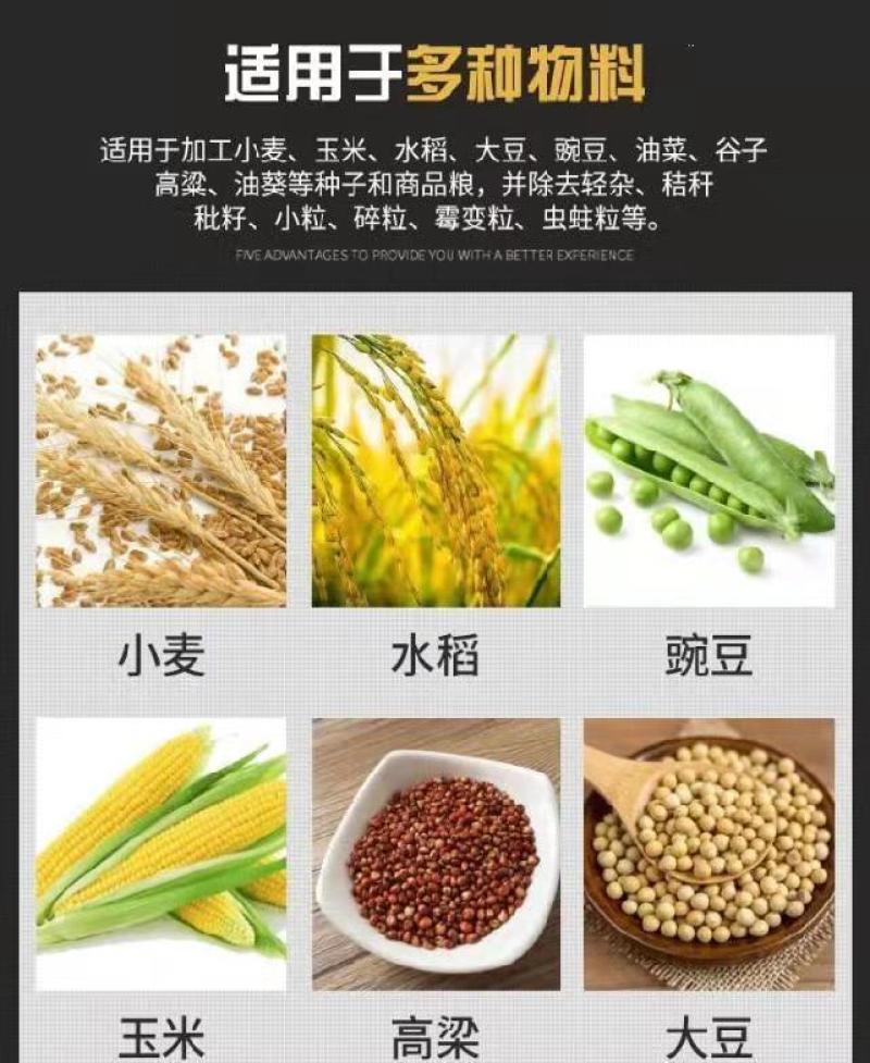 水稻玉米筛选机大豆去石精选机小麦精磕皮选种机清选机