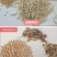 农用选种机粮食种子精选机小麦大豆稻子除渣筛选机除霉变去石