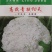 高抗青梗60-80天小米粒台湾力禾种苗有机花菜种子松花菜
