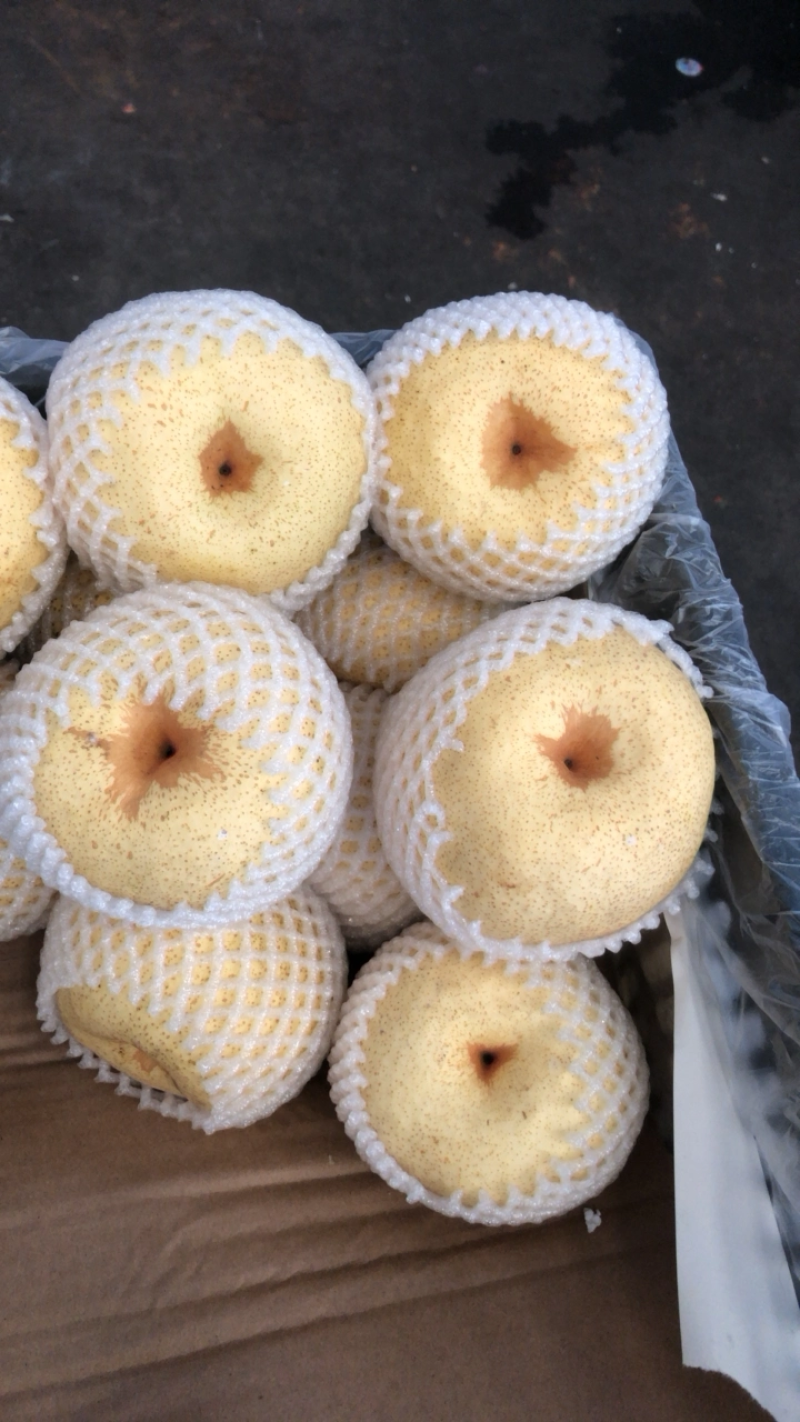 【梨】砀山酥梨产地直发皮薄多汁坏单包赔全国发货