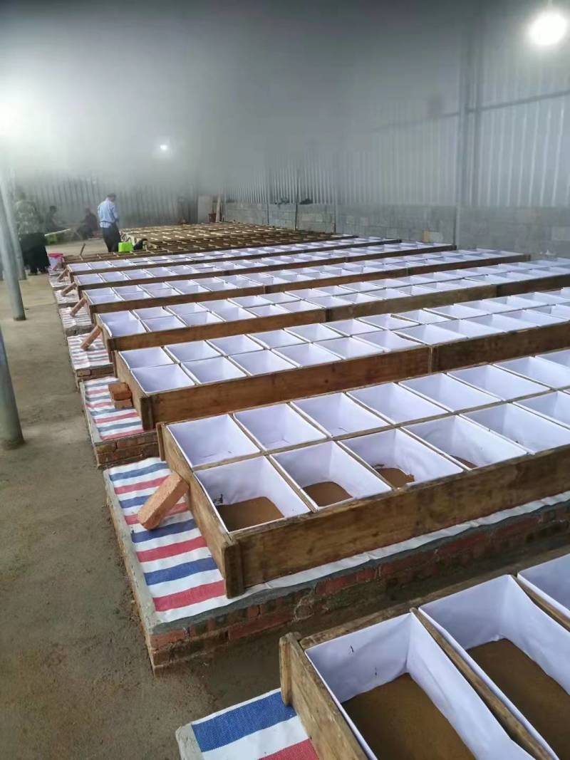 红糖大专红糖纯甘蔗糖黄糖厂家直销整袋发货