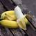 小米蕉一件代发粉蕉小米蕉产地直发小米蕉电商平台货源