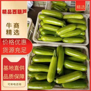 【精品】万亩西葫芦基地大量供应量大优惠可视频看货