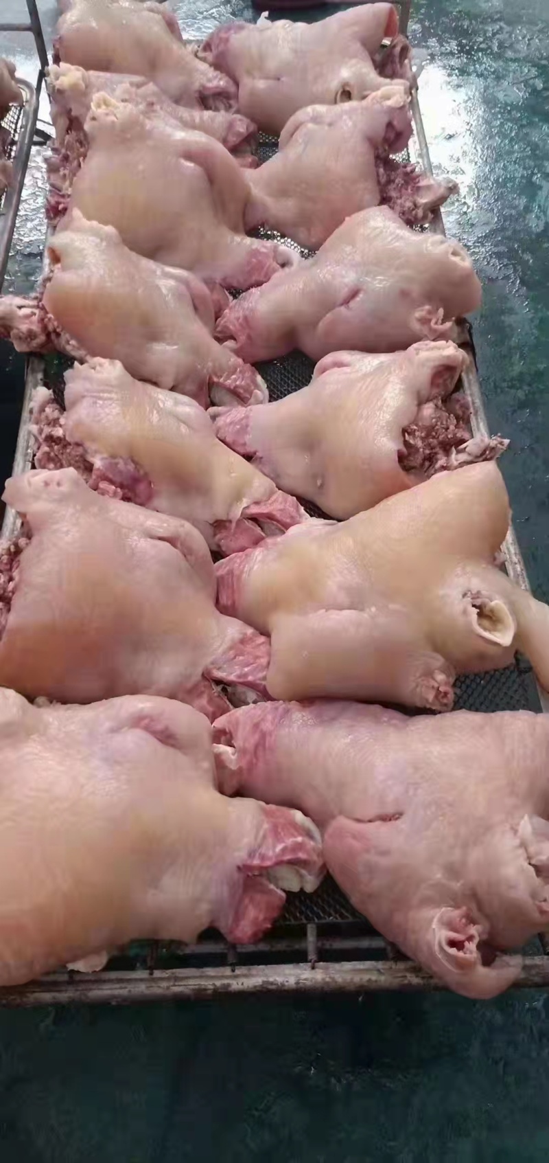 熟牛头肉,货源充足,质量稳定,口感好，色泽鲜亮