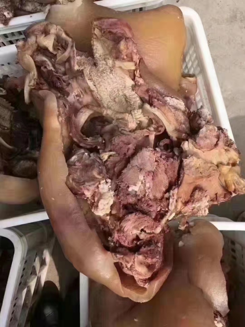 熟牛头肉,货源充足,质量稳定,口感好，色泽鲜亮