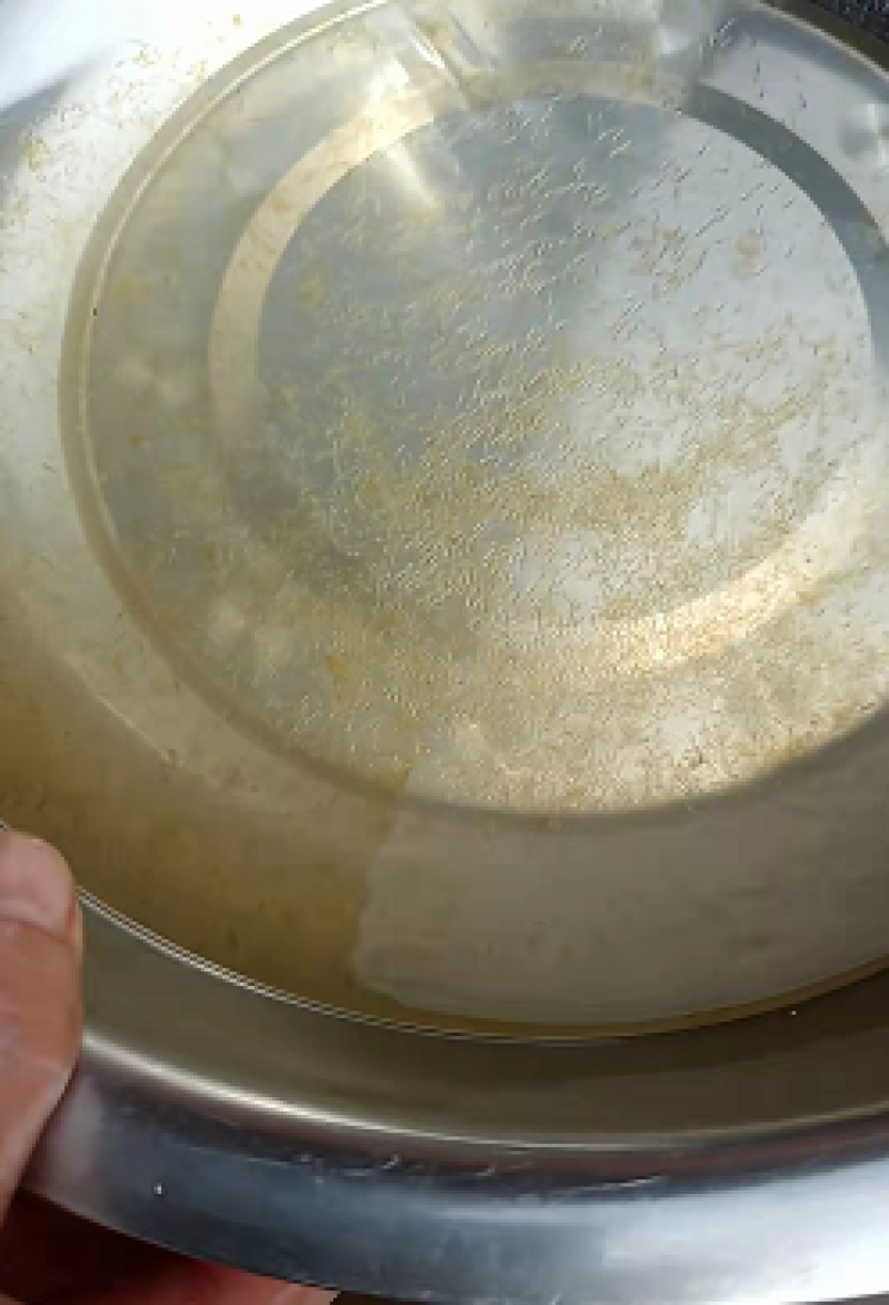 草鱼水花规格齐全广东产地直销好货草鱼水花全国发货