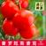 沙瓤普罗旺斯西红柿苗，供各种西红柿苗