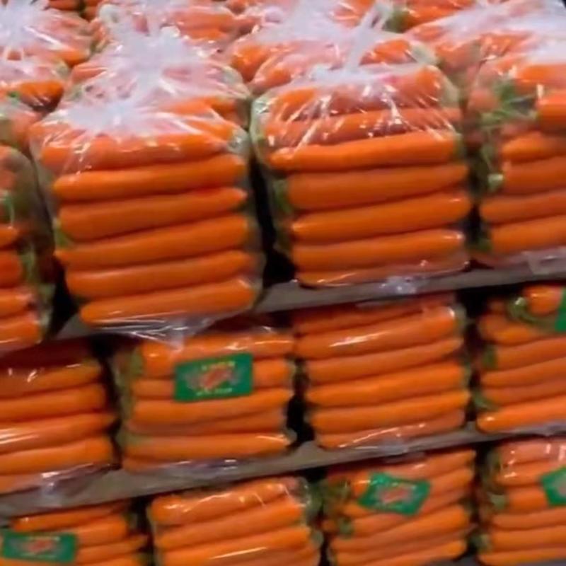 精品三红红萝卜中条，小条，电商批发市场，可代发全国