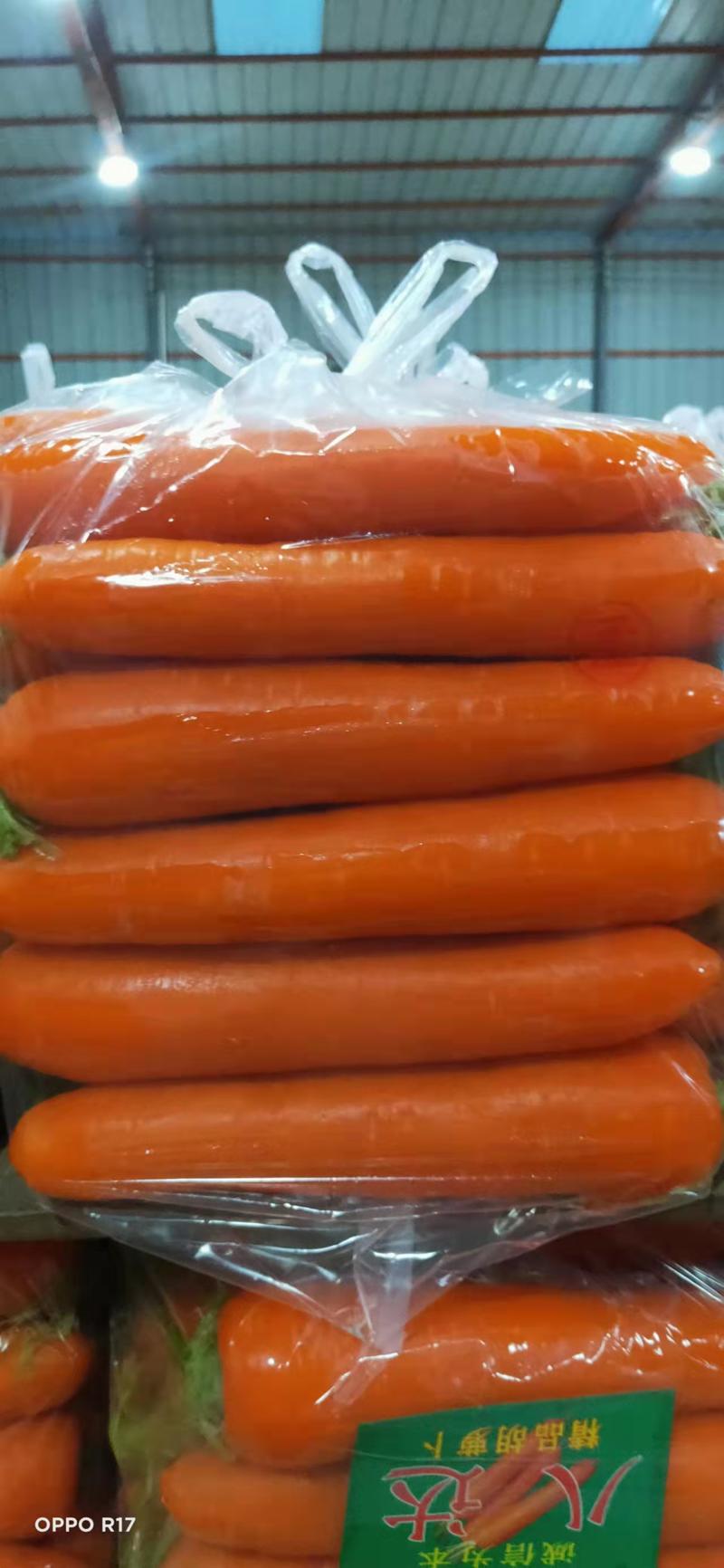 精品三红红萝卜中条，小条，电商批发市场，可代发全国
