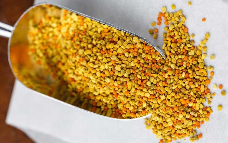小兴安岭东北林区蜂花粉