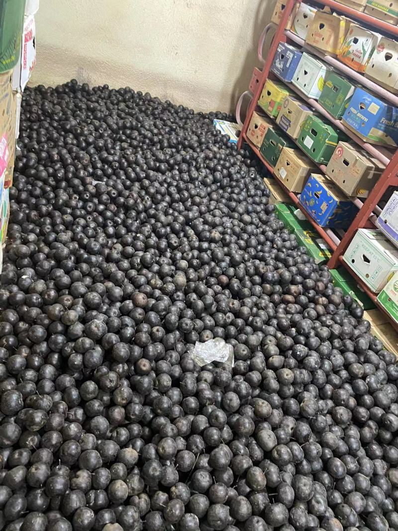包邮东北大冻梨皮薄汁多味道甘甜一个梨一杯汁一件代发