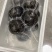 包邮东北大冻梨皮薄汁多味道甘甜一个梨一杯汁一件代发