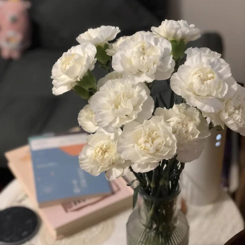 云南产地直发康乃馨鲜花母亲节鲜花基地发货