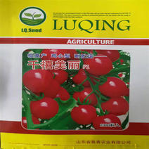 泰国千禧圣女果种子西红柿小番茄种子美丽鸡心型极高产