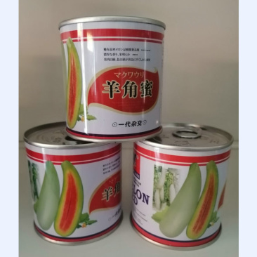 羊角蜜种子羊角蜜甜瓜种子高糖抗病耐高温一代杂交基地用
