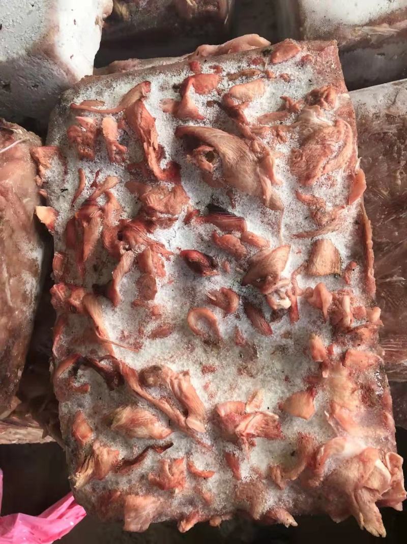 鲨鱼系列