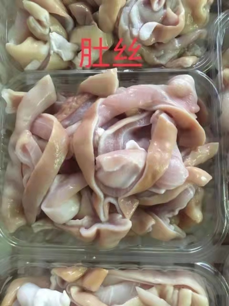 鲨鱼系列