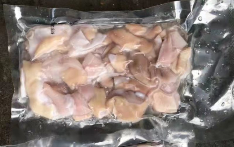 鲨鱼系列