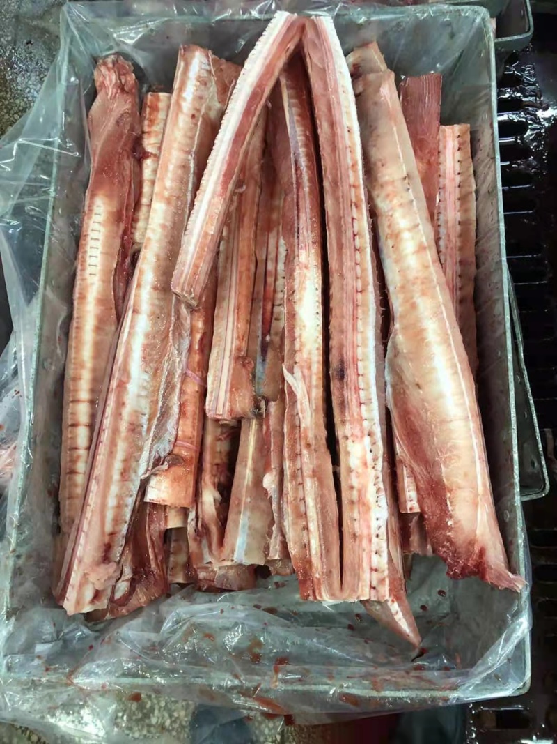 鲨鱼系列