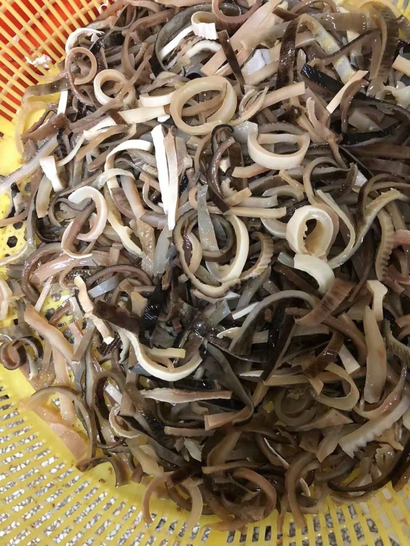 鲨鱼系列