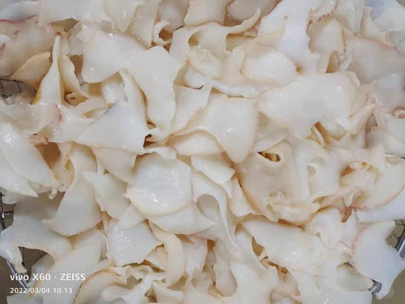 鲨鱼系列
