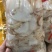 鲨鱼系列