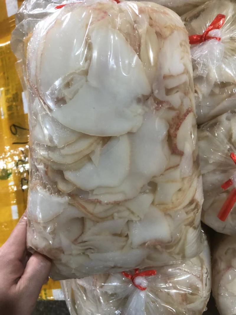 鲨鱼系列