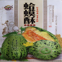 蛤蟆酥甜瓜种子四季播种多汁水果香薄皮甜瓜种子