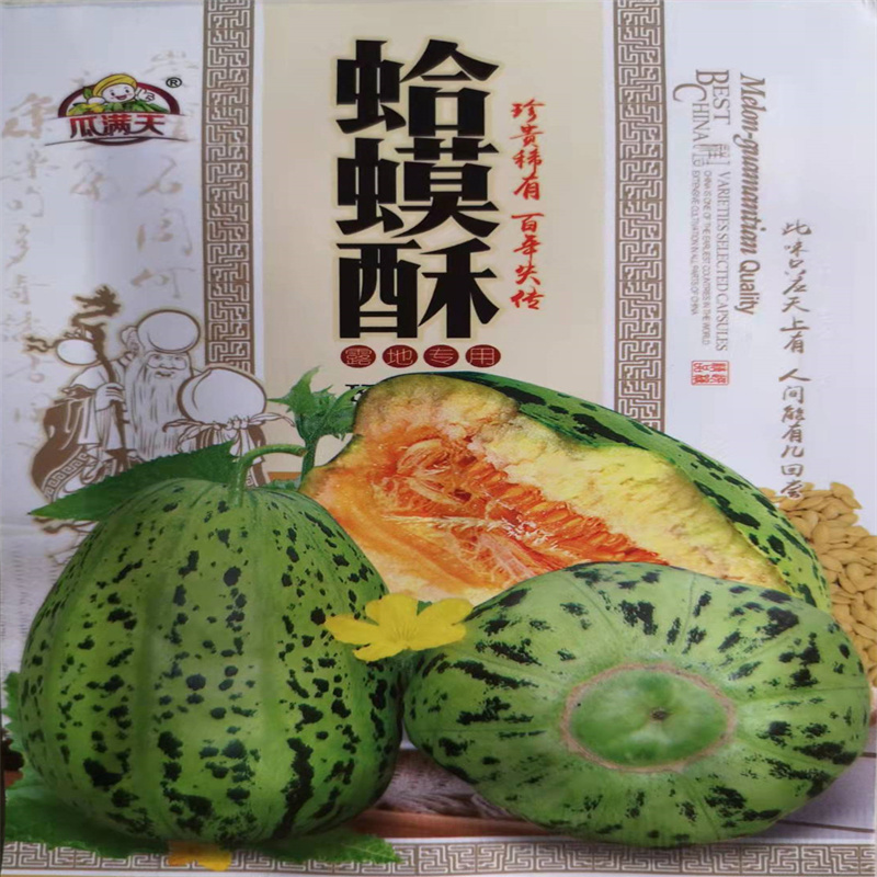 蛤蟆酥甜瓜种子四季播种多汁水果香薄皮甜瓜种子