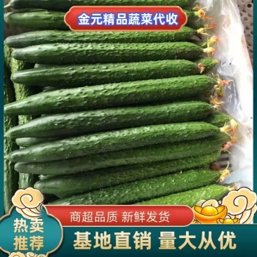 亮条,密刺黄瓜,瓜条直,青皮绿肉,产地直发。