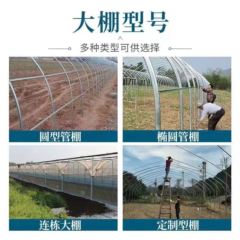 【种植大棚】大棚管种植大棚蔬菜大棚整套温室大棚