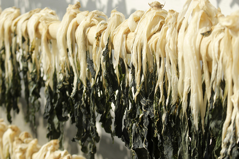 广东白菜干自产自销干净无沙农家自产煲汤料