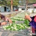 广东白菜干自产自销干净无沙农家自产煲汤料
