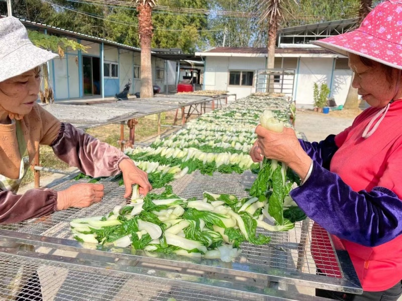 广东白菜干自产自销干净无沙农家自产煲汤料