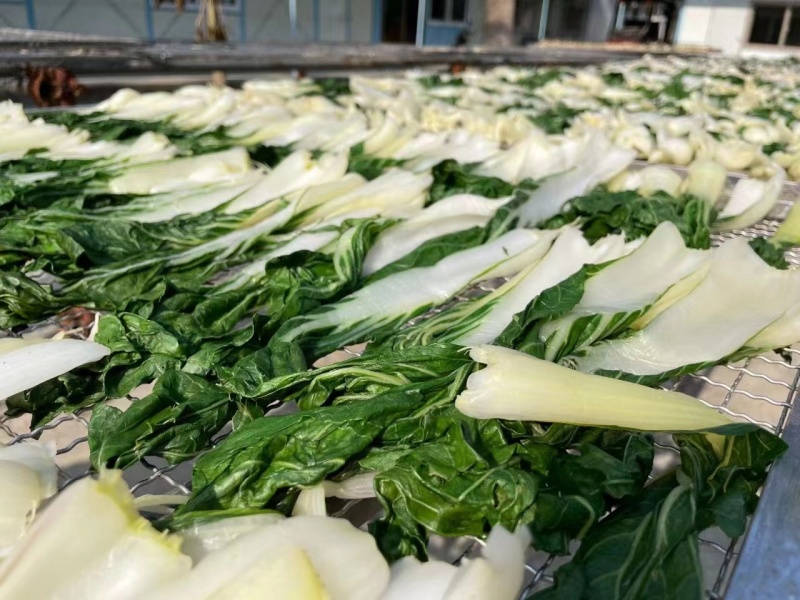 广东白菜干自产自销干净无沙农家自产煲汤料