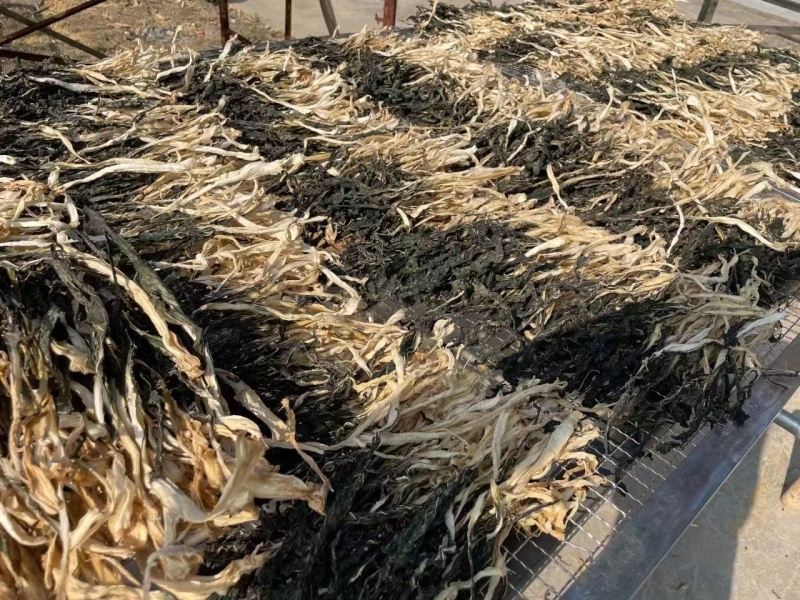 广东白菜干自产自销干净无沙农家自产煲汤料