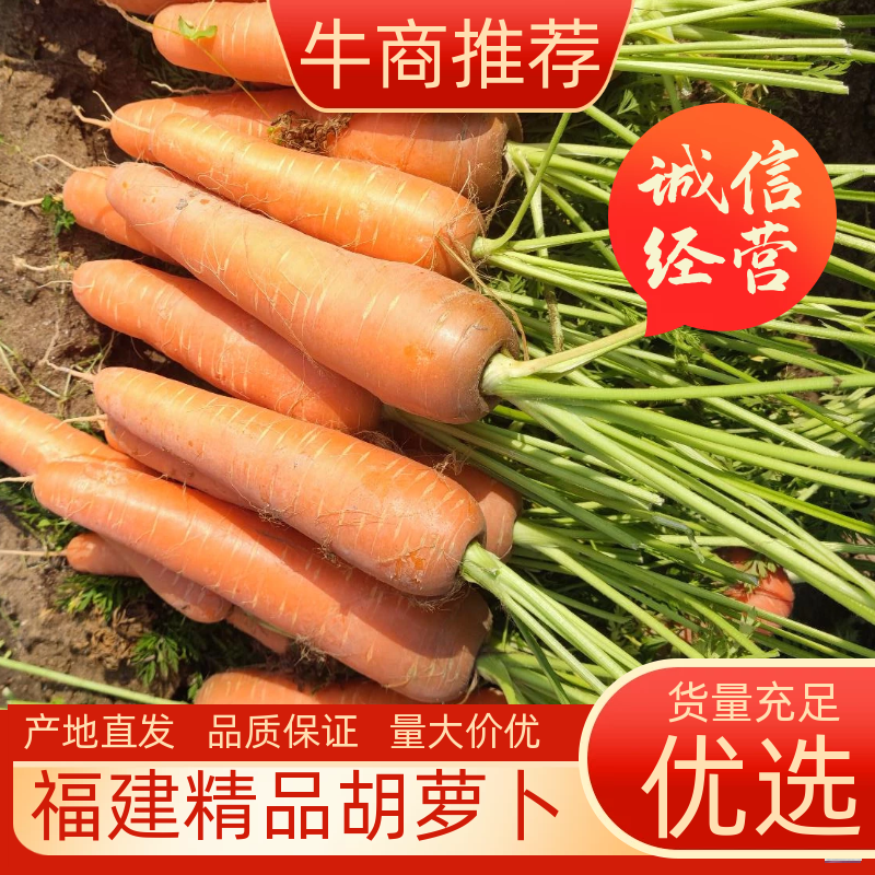 【大量供应】三红胡萝卜三一六品牌常年有货专业代办
