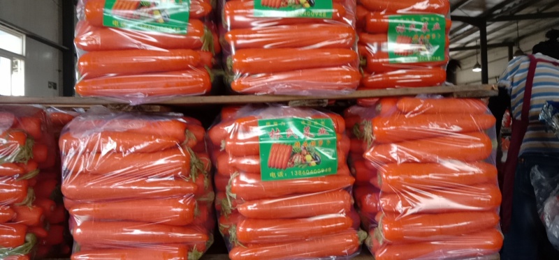 【大量供应】三红胡萝卜三一六品牌常年有货专业代办
