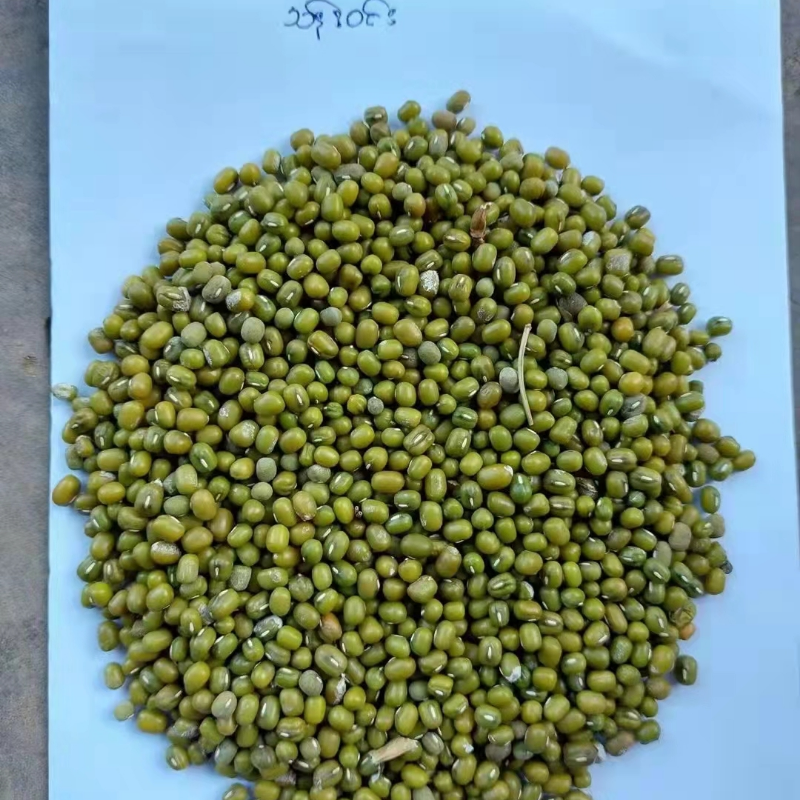 缅甸大产区油杂绿豆一级毛货，南沙港黄岛港口提货