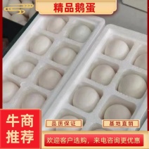 爆品网红鹅蛋，社区团购，公司福利，基地直销，品质保证