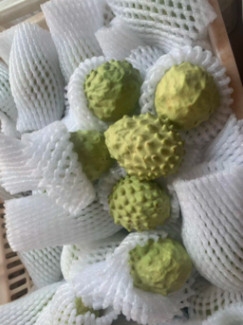 云南省元谋精品释迦果，产地直发，一手货源