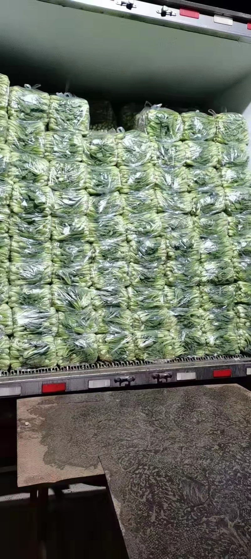【牛商推荐】白菜苔，货源充足，产地直发，诚信经营，质量保证