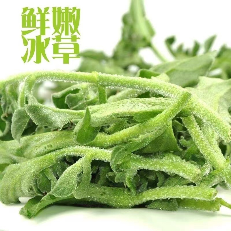 精品冰草山东基地直供一手货源对接超市批发商欢迎来电